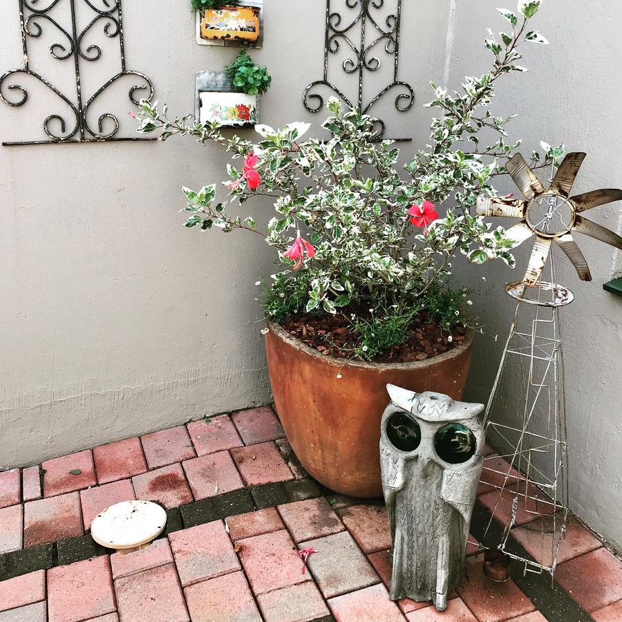 Blu Trea B&B Johannesburg Eksteriør billede